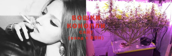 каннабис Коряжма