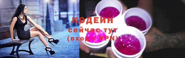 твердый Краснослободск