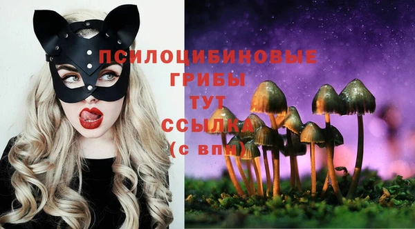 spice Красноперекопск