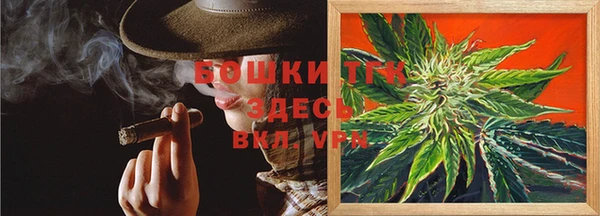 твердый Краснослободск