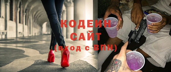 твердый Краснослободск