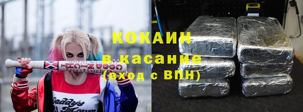 твердый Краснослободск