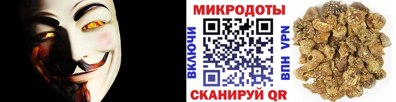 МЕГА ССЫЛКА  Курчатов  Галлюциногенные грибы прущие грибы 