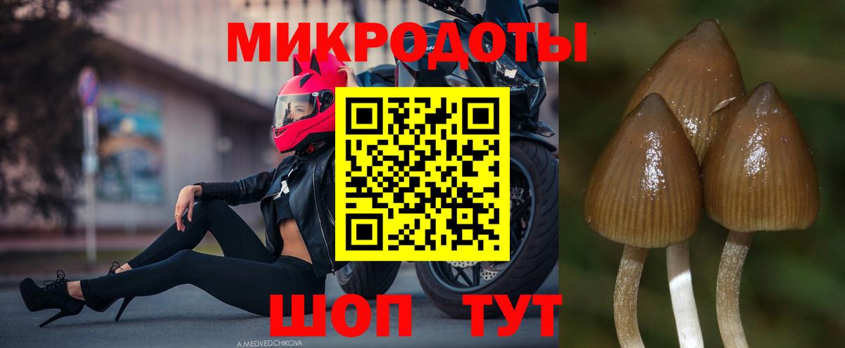 Галлюциногенные грибы ЛСД  Вход с VPN  Курчатов 